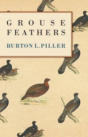 Cover of the book Grouse Feathers by Pierce Butler