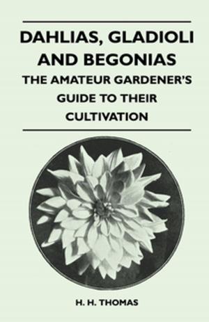 bigCover of the book Dahlias, Gladioli and Begonias - The Amateur Gardener's Guide to Their Cultivation by 
