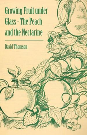 Cover of the book Growing Fruit under Glass - The Peach and the Nectarine by Edward Lyman Munson