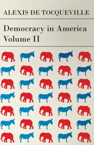 Cover of the book Democracy in America - Volume 2 by A. J. Glinski