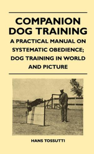 Cover of the book Companion Dog Training - A Practical Manual On Systematic Obedience; Dog Training In World And Picture by Cecilia Salinas
