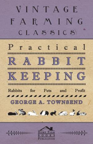 Cover of the book Practical Rabbit Keeping - Rabbits for Pets and Profit by Annie Firth