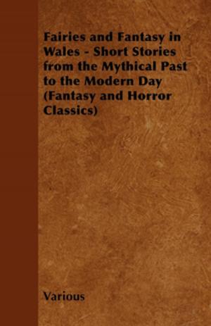 Book cover of Fairies and Fantasy in Wales - Short Stories from the Mythical Past to the Modern Day (Fantasy and Horror Classics)