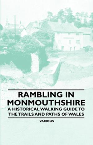 Cover of the book Rambling in Monmouthshire - A Historical Walking Guide to the Trails and Paths of Wales by George Sturt