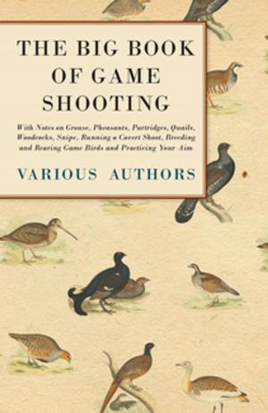 Cover of the book The Big Book of Game Shooting - With Notes on Grouse, Pheasants, Partridges, Quails, Woodcocks, Snipe, Running a Covert Shoot, Breeding and Rearing Game Birds and Practicing Your Aim by Mary Antin