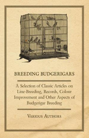 Cover of the book Breeding Budgerigars - A Selection of Classic Articles on Line-Breeding, Records, Colour Improvement and Other Aspects of Budgerigar Breeding by Charles Winslow Hall