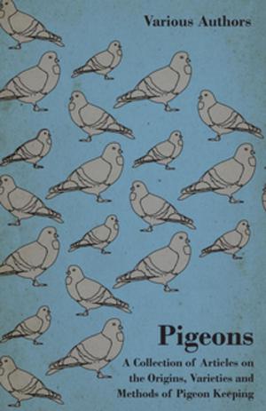 Cover of the book Pigeons - A Collection of Articles on the Origins, Varieties and Methods of Pigeon Keeping by Horace Mansion