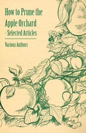 Cover of the book How to Prune the Apple Orchard - Selected Articles by Leon Pray