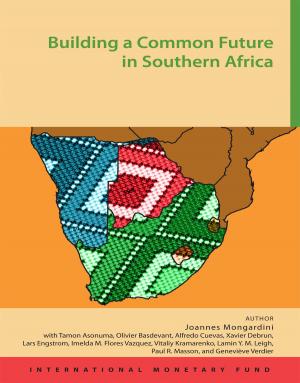 Cover of the book Building a Common Future in Southern Africa: Challenges and Opportunities by Carlo A. Sdralevich, Randa Sab, Younes Zouhar, Giorgia Albertin