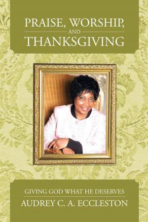 Cover of the book Praise, Worship, and Thanksgiving by J. Daniel Fisk