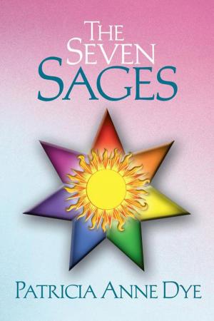 Cover of the book The Seven Sages by Chris Martin