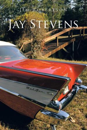 Cover of the book Jay Stevens by C.S. Adler