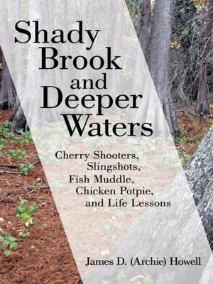 Book cover of Shady Brook and Deeper Waters