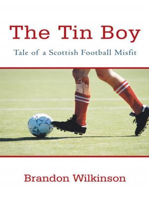 Cover of the book The Tin Boy by Matt Williams