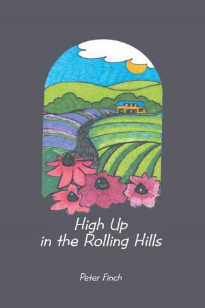 Cover of the book High up in the Rolling Hills by James Turnage