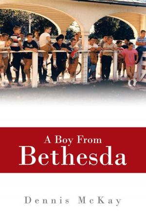 Book cover of A Boy from Bethesda