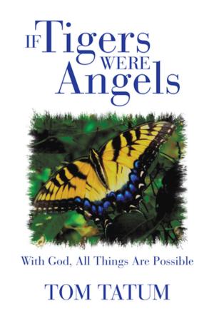 Cover of the book If Tigers Were Angels by Peter A. Barbieri