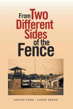Cover of the book From Two Different Sides of the Fence by Mona Mender