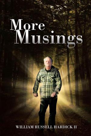 Cover of the book More Musings by Evelyn Burns