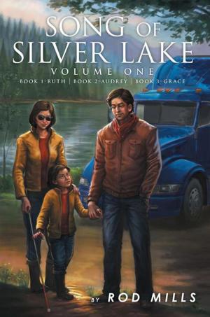 Book cover of Song of Silver Lake