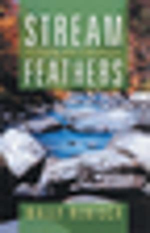 Cover of the book Stream Feathers by Elaine Clemmons