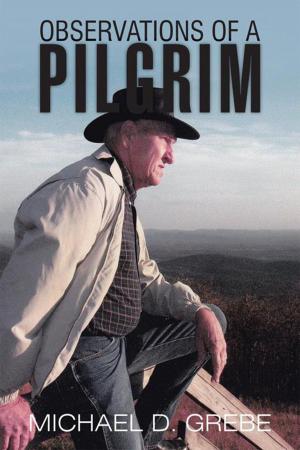 bigCover of the book Observations of a Pilgrim by 
