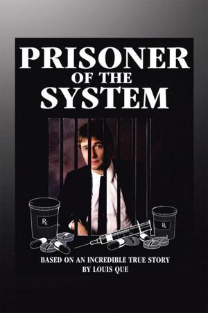 Cover of the book Prisoner of the System by Linda Walsch