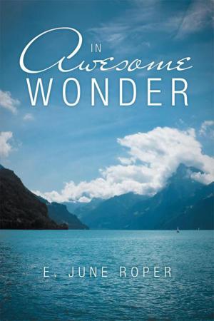 Cover of the book In Awesome Wonder by Billie Conner