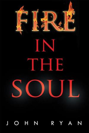 bigCover of the book Fire in the Soul by 