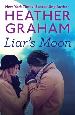 Cover of the book Liar's Moon by Lisa Goldstein