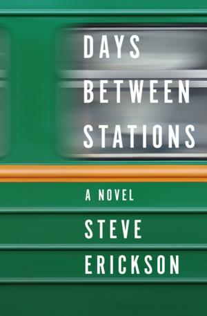 Cover of the book Days Between Stations by Dan E. Moldea