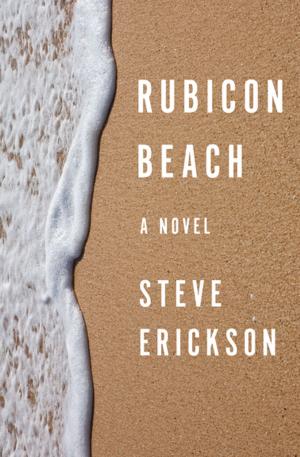 Book cover of Rubicon Beach