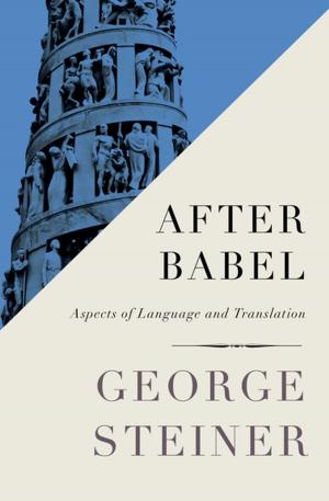 bigCover of the book After Babel by 