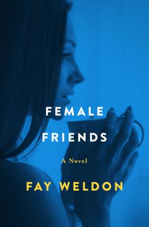 Cover of the book Female Friends by James Fairchild