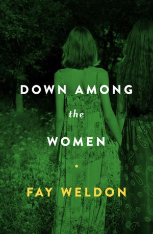 Cover of the book Down Among the Women by Paul Lederer