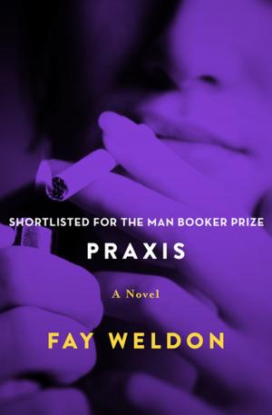 Cover of the book Praxis by Gail Rock