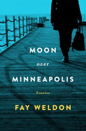 Cover of the book Moon Over Minneapolis by Oisín McGann