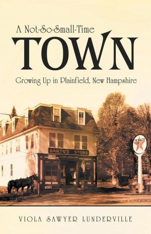 Cover of the book A Not-So-Small-Time Town by Ayanna Jenelle Guyhto