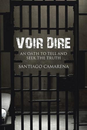 Cover of the book Voir Dire by Kateryann Johnson CPA CGMA CFF