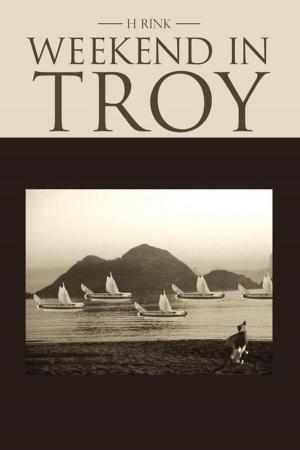 Cover of the book Weekend in Troy by Michael S. Rothberg