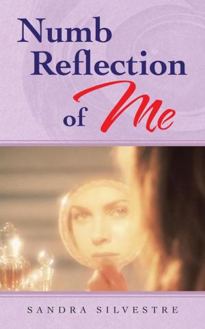 Cover of the book Numb Reflection of Me by Paul C. Constant, Jr.