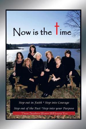 Cover of the book Now Is the Time by Dr. Stan