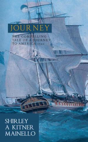 Cover of the book Journey by Mary Rose DeAngelo