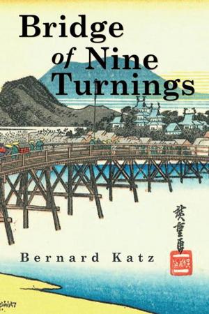 Cover of the book Bridge of Nine Turnings by Deval Richardson