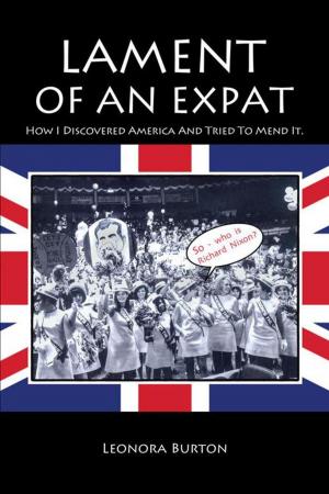 Cover of the book Lament of an Expat by Paul Eiseman