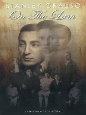 bigCover of the book On the Lam by 