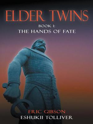 Book cover of Elder Twins