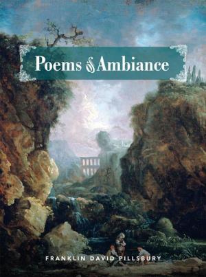 Cover of the book Poems of Ambiance by David S. Arnold