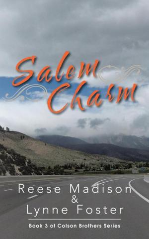 Cover of the book Salem Charm by Rachel Fallin