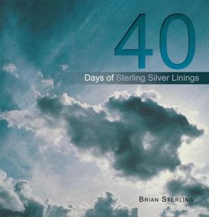 Cover of the book 40 Days of Sterling Silver Linings by Dan Brooks
